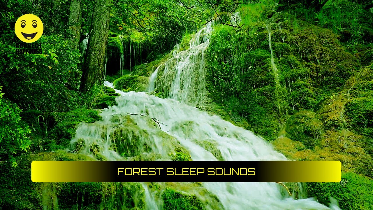 Bird Singing and Waterfall, Relax Music, Peaceful Music, Forest Sounds ...