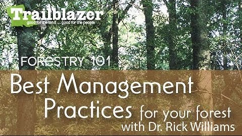 Best Management Practices for Your Forest:  Forestry 101 With Dr. Rick Williams