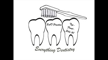 DAT Tutorial - PAT Top-Front-Side #1