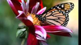 Version 3 of the video
