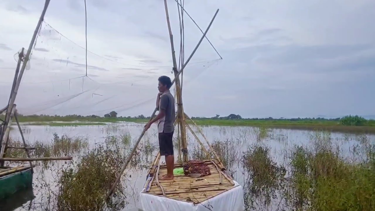 NGANCO IKAN NILA 5KG DI RAWA-RAWA | BRANJANG ANCO TANGKUL IKAN NILA BABON |KENTUL-KENTUL SUPER BESAR