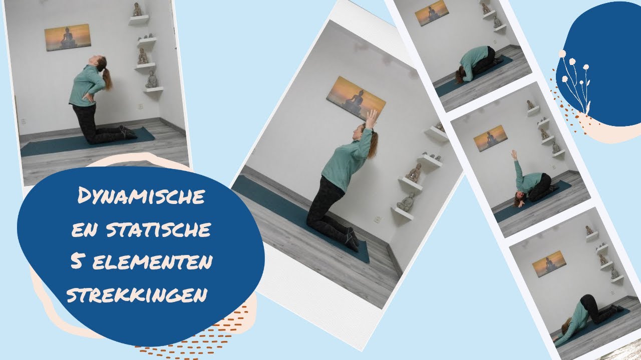 Statische Und Dynamische Polymorphie: Weiter Geht’S – OITV