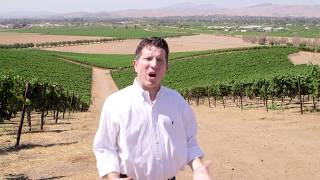 Discover california wines: livermore lodi and santa cruz