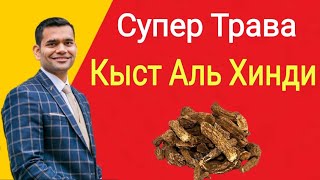 Супер Трава Кыст Аль Хинди - Как Использовать И Преимущества