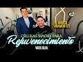 Celulas Madre Para Rejuvenecimiento Blog (Larry Hernandez)