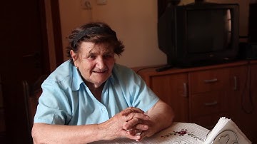 Mother goose and the wolf – Banat-Bulgarian Collection