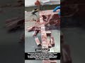 Precision Meat Cutting with an Industrial Band Saw !! #innovation #tools #ideas