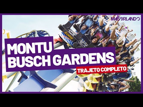 MONATNHA-RUSSA MONTU - BUSCH GARDENS TAMPA (TRAJETO COMPLETO)