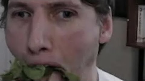 Jerma clips that have to be AI generated