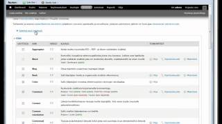 pathauto ja token moduulien asennus