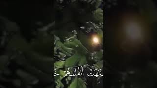 قرآن حالات_واتس راحة_نفسية ٢٠٢٢ اجر_لي_ولك لايك