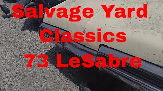 1973 Buick Lesabre salvage yard find
