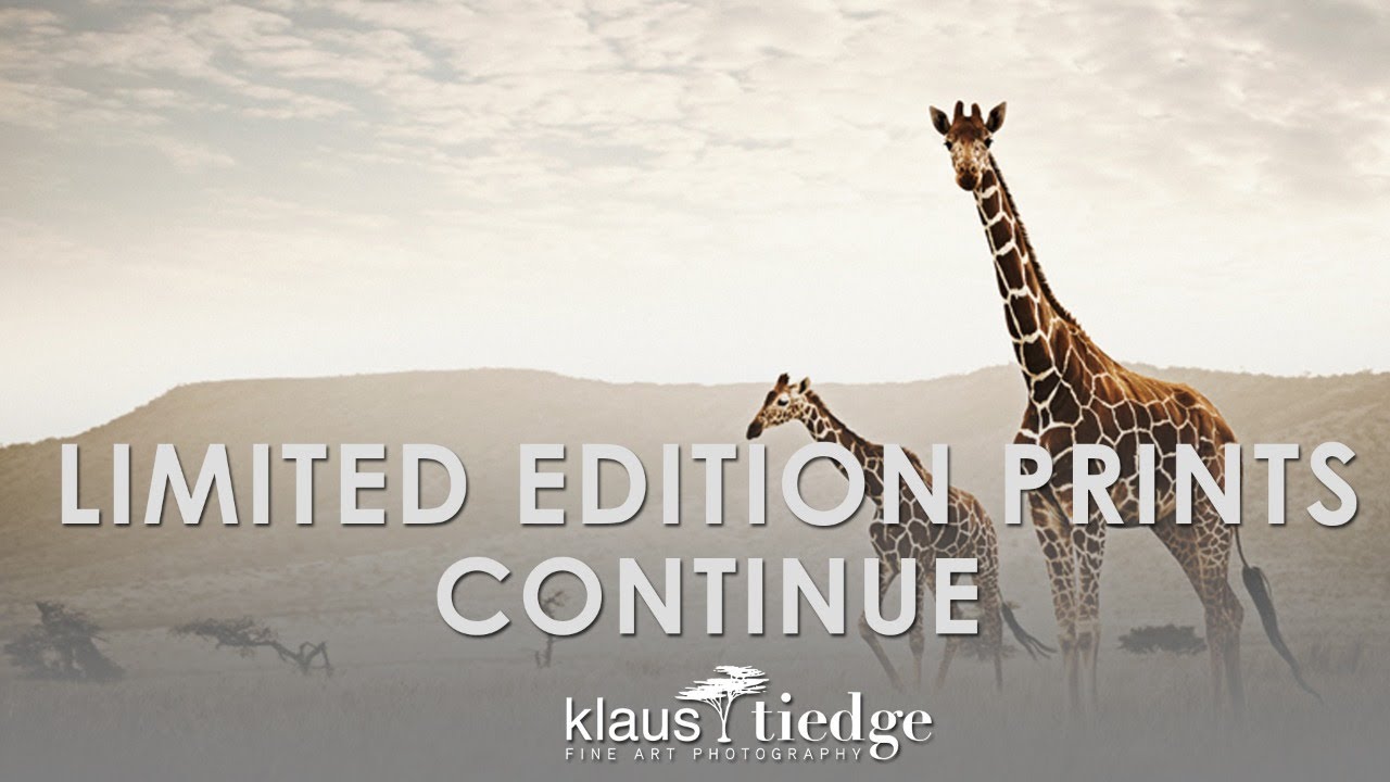 Ethnicity - Klaus Tiedge Fine Art Wildlife Photography