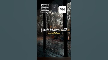 How to edit dark brown look in vn tutorial #youtubeshorts