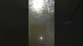 sambaranya secepat kilat ...mantappp #shortvidio #fishing