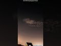 Canon 750D Astrophotography Timelapse #nightsky #astrophotography #fyp #canon