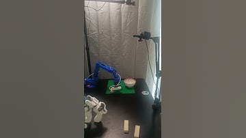 lerobot arm with action chunking transformer