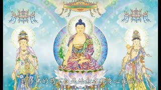 法界之心:“药师法门” 第219页