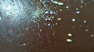 failing to snort sugar like it's some sort of drug