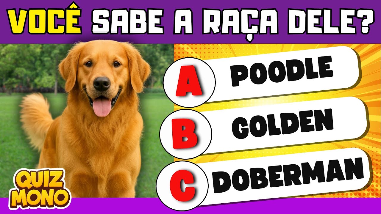 🐶 QUAL É A RAÇA DESSE CACHORRO? | Só Quem AMA CACHORRO ACERTA