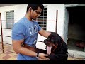 How to train your ROTTWEILER - 6 Tips - Ft. my canine buddy, BRUTUS