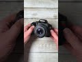 Macro Reverse Ring Macro Photography #macrophotography #photography