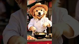 Jin’s working day!!!!!! #cutedog #dog #funny #hardwork