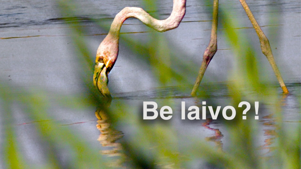 Laivas liko uoste, bet kelionė tęsiasi | Portugalijos kruizas