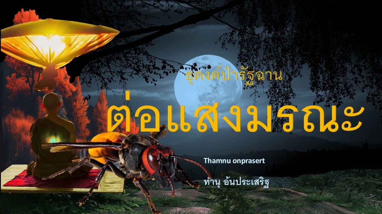 ๓๓๓.ต่อแสงมรณะ ธุดงค์ปารัฐฉาน