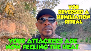 CHOSEN ONE,YOU JUST REVERSED YOUR HUMILIATION RITUAL,YOUR ATTACKERS ARE NOW FEELING THE HEAT‼️ @Denzo_Mos