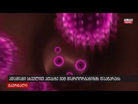 ადამიანი სხეულით ათასზე მეტ მიკროორგანიზმს დაატარებს