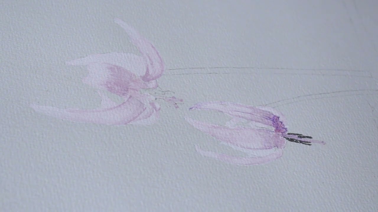 カタクリの花水彩画 参考映像 - YouTube