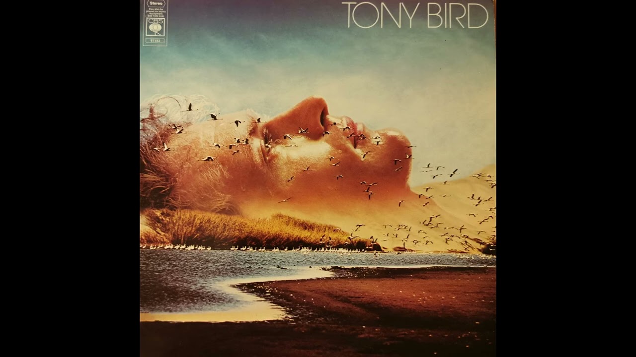 Tony Bird -  Windows Of My Life