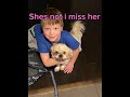 #sad#doglife