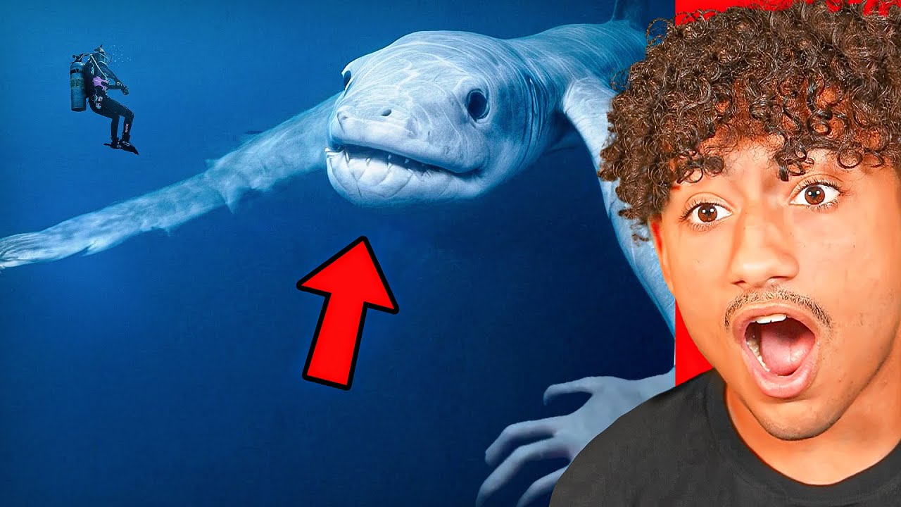 World's *CRAZIEST* Discoveries!