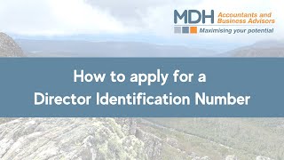 How to apply for a Director Identification Number
