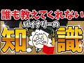 【※衝撃】簡単に稼げすぎてごめんなさい、、博士だけが知っている爆益を取るための知識｜ハイローオーストラリア攻略法【バイナリーオプション】
