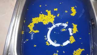 Whirlpool inside the case BLUE COLOR and YELLOW small balls