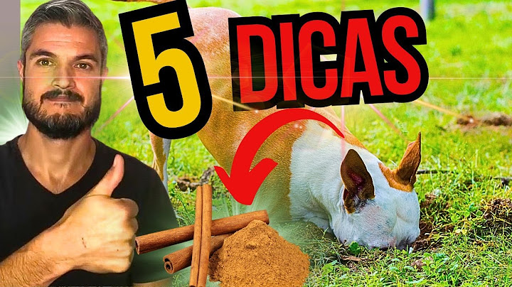 HOW TO STOP YOUR DOG FROM DIGGING HOLES DOG THAT DIGS DIRT AND MONEY IN THE GARDEN LEARN HOW TO S...