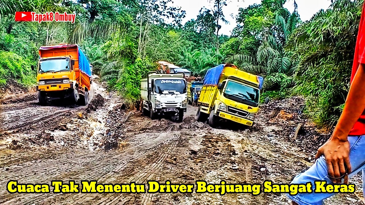 Terpancing Truck Sawit Driver HDX Tergantung Di Tengah Tanjakan Tak Sadar Muatannya Lebih Berat
