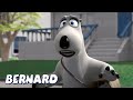 Бернард Медведь | газетчик И БОЛЬШЕ | Мультфильмы для детей | Полные эпизоды