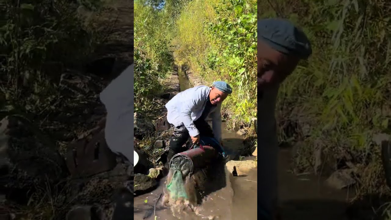 Fishing In Mohe The Northeast Joy Of Outdoor Wild Experiencex 434