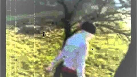 Samara vs Barbara 2011 (Letničie) Orbing