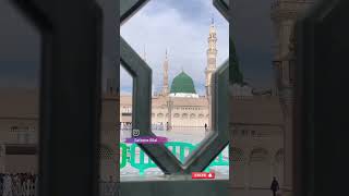 Masjid Al Haram #Allah ka ghar #Makkah #subhanAllah #Dua #top trending #viral short