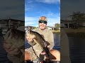 OMG 😱 Watch & Listen to This #fishing #fish #bass #kayak #youtubeshorts #lure #reeds #reels #trend