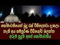 Budu Ras Vihidena Somawathiya සෝමාවතියේ බුදු රැස් බලන්න