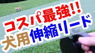 #64【検証】これは便利！伸縮リードに変えてみたら・・・【柴犬】This is convenient! Try changing to a telescopic lead...