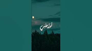 ﴿ ربي اوزعني ان اشكر نعمتك ﴾ | تلاوة نادرة من سورة النمل للشيخ المنشاوي #quran #قرآن #قران_كريم