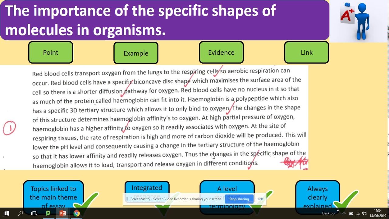 Essay. Example. AQA A level Biology - YouTube