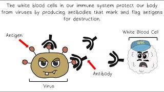 Vaccines